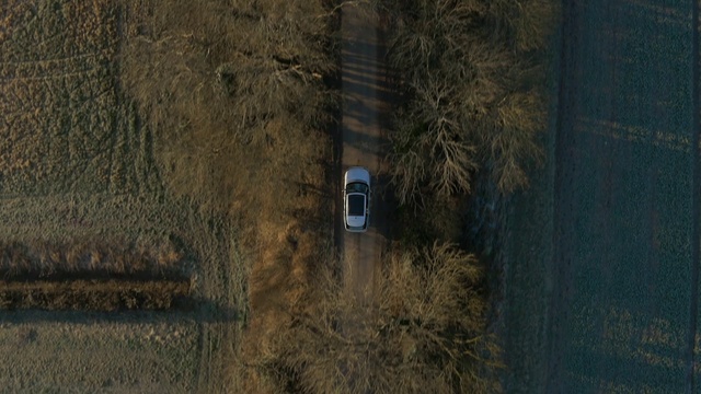 Video Reference: Green, Tree, Soil, Line, Grass, Plant, Landscape, Photography, Wood, Road