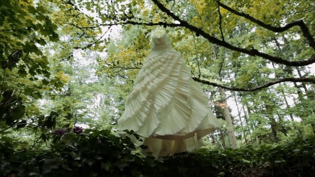 Video Reference: tree, leaf, woodland, branch, biome, spring, plant, forest, Person