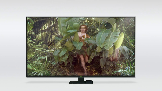 Video Reference: Display device, Television set, Television, Media, Lcd tv, Adaptation, Technology, Output device, Electronic device, Organism