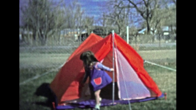 Video Reference: Tent, Camping, Play, Tarpaulin, Fun, Leisure, Recreation, Grass, Tree, Dog sports