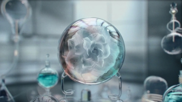 Video Reference: water, glass, organism, transparency and translucency, sphere, liquid bubble