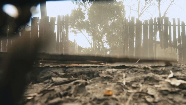 Video Reference: tree, sunlight, winter, water, soil