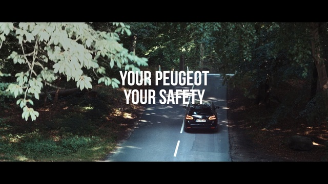 Video Reference: nature, tree, car, woody plant, screenshot, darkness, font, night, grass, forest