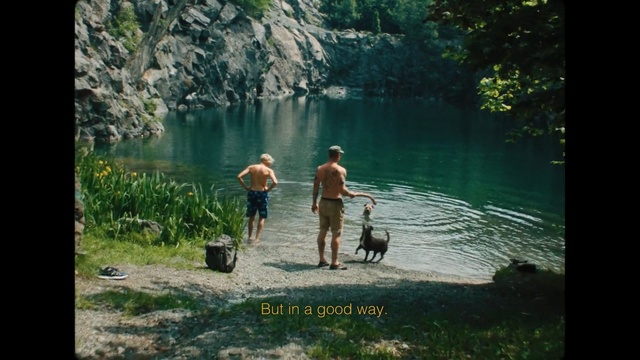 Video Reference: Nature, Wilderness, Water, Recreation, Dog hiking, Dog walking, Lake, Tree, River, Walking, Person