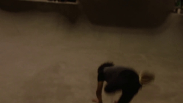 Video Reference: Floor, Fun, Canidae, Flooring, Photography, Hardwood, Non-Sporting Group, Guard dog