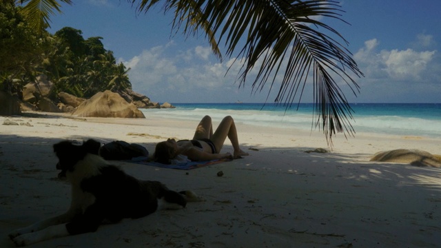 Video Reference: beach, body of water, caribbean, coastal and oceanic landforms, shore, tropics, sea, vacation, ocean, coast