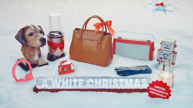 Video Reference: Bag, Canidae, Diaper bag, Handbag, Fashion accessory, Luggage and bags