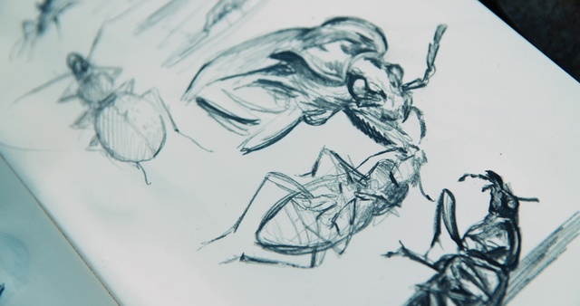 Video Reference: Drawing, Sketch, Illustration, Artwork, Line art, Art, Figure drawing, Child art
