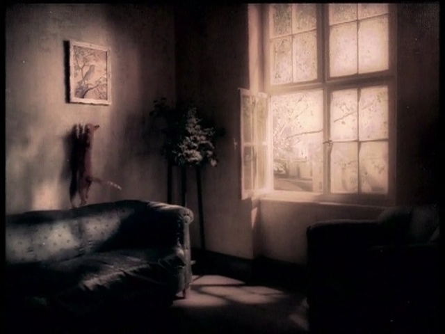 Video Reference: room, darkness, light, wall, interior design, window, lighting, home, still life photography, midnight