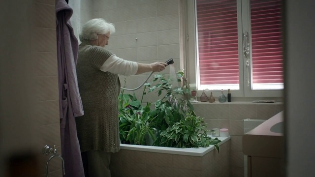 Video Reference: Houseplant, Window, Window treatment, Plant, Interior design, Window covering, Room, Home, House, Curtain