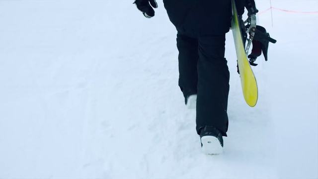 Video Reference: ski pole, snow, geological phenomenon, winter sport, winter, ice, snowshoe, freezing, adventure, mountaineering, Person