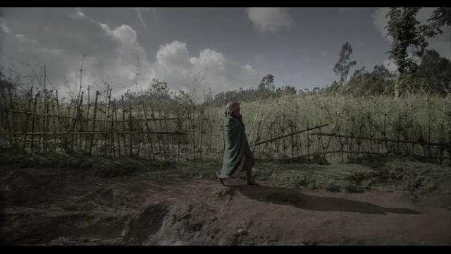 Video Reference: sky, screenshot, tree, atmosphere, landscape, cloud, soil, grass, ecoregion, darkness