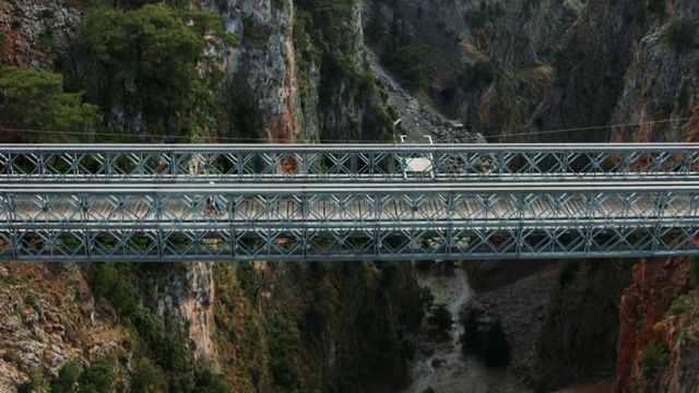 Video Reference: Bridge, Nonbuilding structure, Tree, Plant, Suspension bridge, Beam bridge