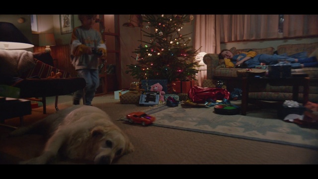 Video Reference: Mammal, Dog, Canidae, Dog breed, Christmas, West highland white terrier, Sporting Group, Carnivore, Holiday, Non-Sporting Group