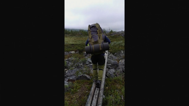 Video Reference: Tree, Plant