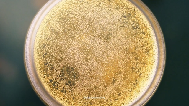 Video Reference: Petri dish, Yeast, Cuisine