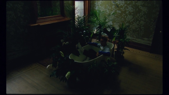 Video Reference: Green, Black, Nature, Light, Darkness, Screenshot, Still life photography, Leaf, Photography, Room