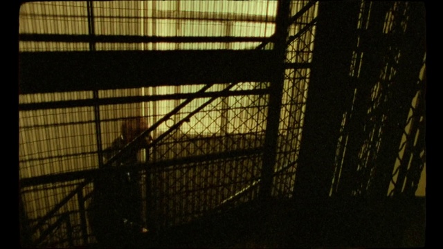 Video Reference: Light, Sky, Iron, Line, Darkness, Infrastructure, Cage, Architecture, Photography, Sunlight, Indoor, Building, Window, Train, Sheep, Man, Standing, Sitting, Lit, Dark, People, Large, Track, Night, Table, Walking, Riding, White, Bus, Group, Bird, Mesh, Shadow, Wire fencing, Fence