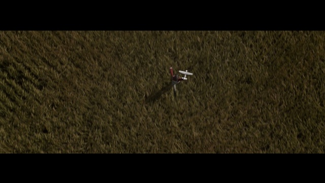 Video Reference: ecosystem, nature, green, atmosphere, grass, grass family, screenshot, darkness, terrain, biome