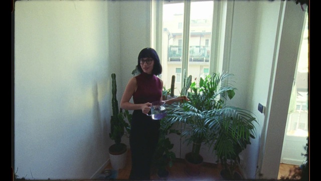 Video Reference: Houseplant, Room, Plant, Botany, Flower, House, Grass, Floral design, Window, Floristry