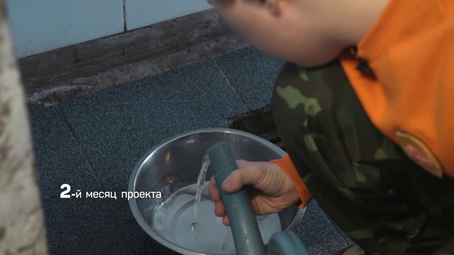 Video Reference: Hand, Child, Toddler, Finger, Food, Washing, Play