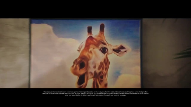 Video Reference: Giraffe, Giraffidae, Painting, Modern art, Wildlife, Art, Organism, Adaptation, Stock photography, Photography