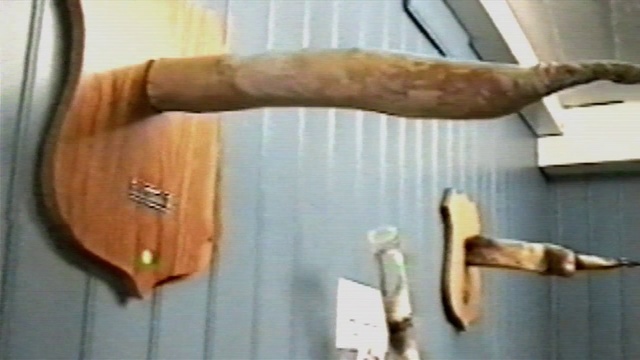 Video Reference: Plant