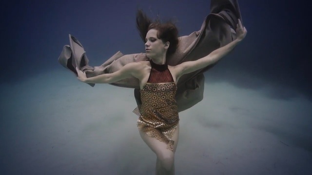 Video Reference: dancer, performing arts, performance, concert dance, modern dance, event, computer wallpaper, performance art, ballet dancer, cg artwork, Person