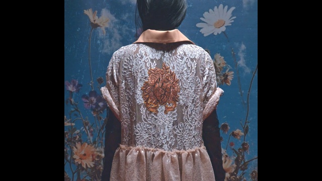 Video Reference: Clothing, Dress, Lace, Fashion, Outerwear, Textile, Neck, Gown, Pattern, Sleeve