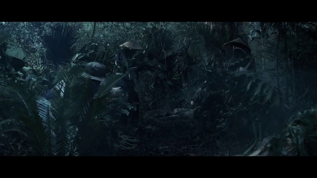 Video Reference: Nature, Darkness, Natural environment, Forest, Fiction, Organism, Tree, Screenshot, Wildlife, Movie
