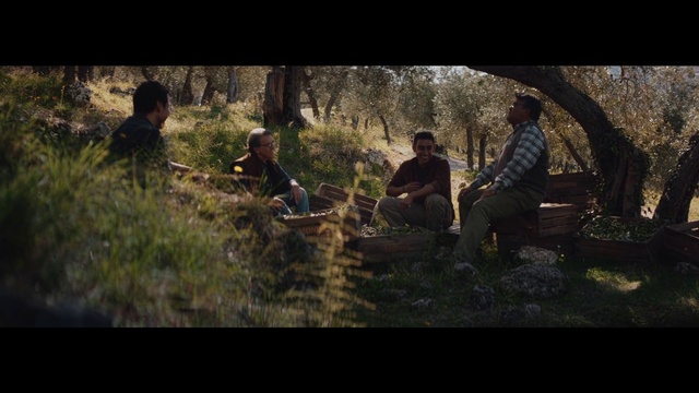 Video Reference: Wilderness, Natural environment, Woodland, Movie, Screenshot, Forest, Tree, Adaptation, Wildlife, Jungle