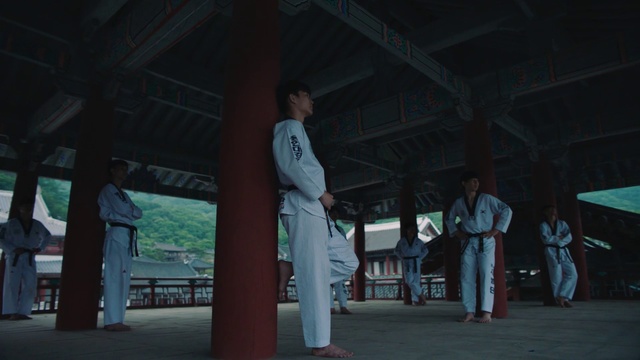 Video Reference: Karate, Tang soo do, Taekwondo, Individual sports, Martial arts, Black belt, Dobok, Japanese martial arts, Contact sport, Judo