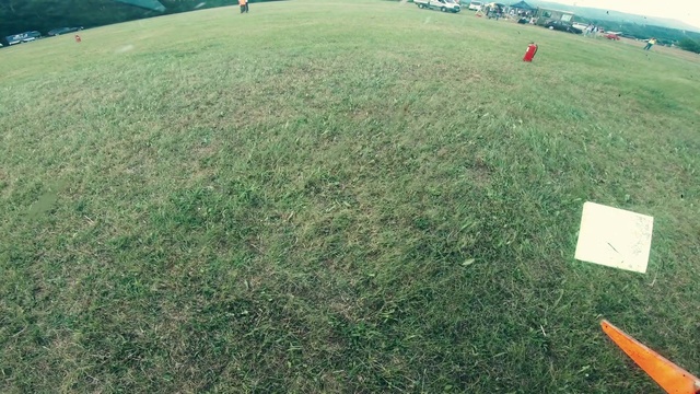 Video Reference: Grass, Grassland, Land lot, Lawn, Grass family, Field, Pasture, Plain, Aerial photography, Plant