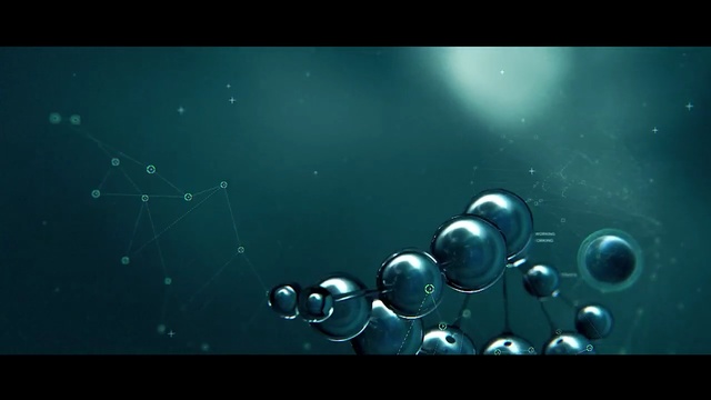 Video Reference: water, atmosphere, underwater, macro photography, marine biology, organism, screenshot, moisture, computer wallpaper, darkness
