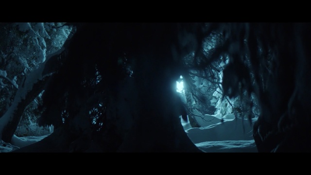 Video Reference: Nature, Darkness, Cave, Formation, Screenshot, Organism, Tree, Space, World, Fictional character