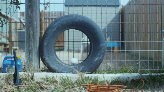 Video Reference: Tire, Automotive tire, Automotive wheel system, Auto part, Wheel, Fence, Metal