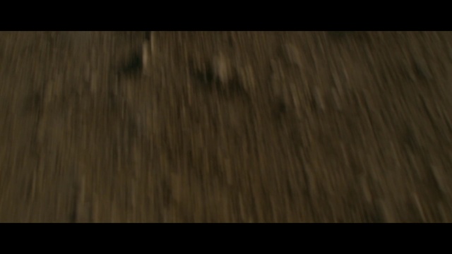 Video Reference: Black, Wood, Floor, Wood flooring, Brown, Hardwood, Flooring, Laminate flooring, Wood stain, Tree