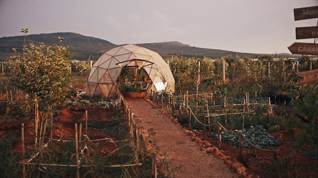 Video Reference: Arch, Architecture, Tree, Landscape, Plant, Soil, Rock