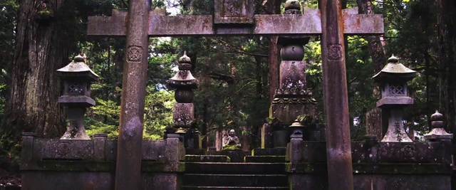 Video Reference: Temple, Historic site, Place of worship, Jungle, Tree, Building, Ruins, Architecture, Temple, Shrine