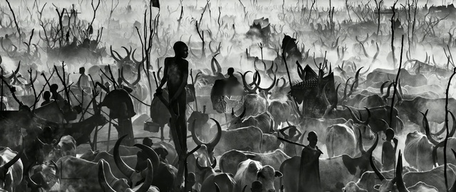 Video Reference: Monochrome, Black-and-white, Monochrome photography, Photography, Stock photography, Art, Crowd, Style, Illustration, Person