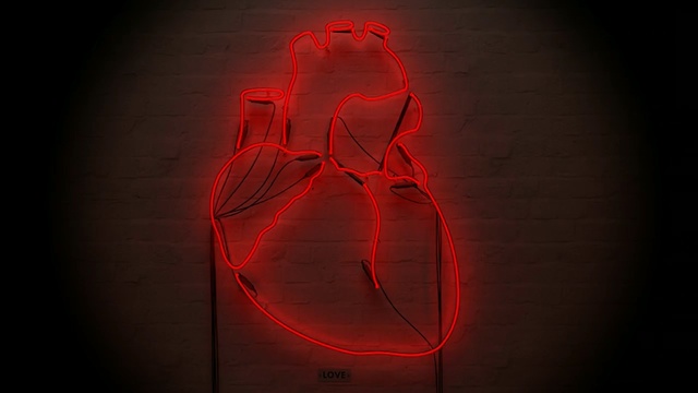 Video Reference: red, light, darkness, human body, organ, still life photography, joint, computer wallpaper, font, graphics