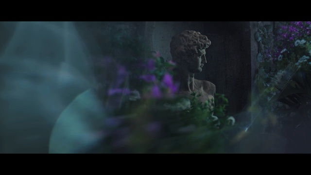 Video Reference: nature, darkness, atmosphere, purple, screenshot, organism, computer wallpaper, underwater, midnight, night
