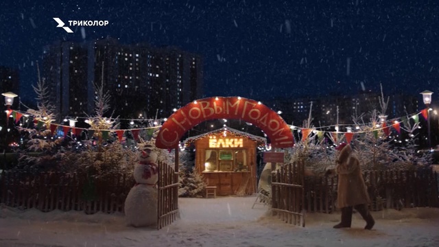 Video Reference: Night, Winter, Event, Holiday, Snow, Festival, Christmas lights
