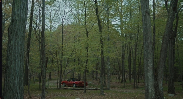 Video Reference: Plant, Plant community, Tree, Natural landscape, Wood, Vehicle, Wheel, Terrestrial plant, Trunk, Truck