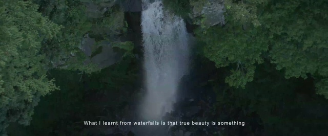 Video Reference: waterfall, nature, water, body of water, nature reserve, vegetation, water resources, watercourse, water feature, river, Person