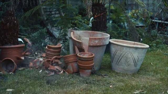 Video Reference: Pottery, earthenware, Flowerpot, Art, Tree, Plant, Yard