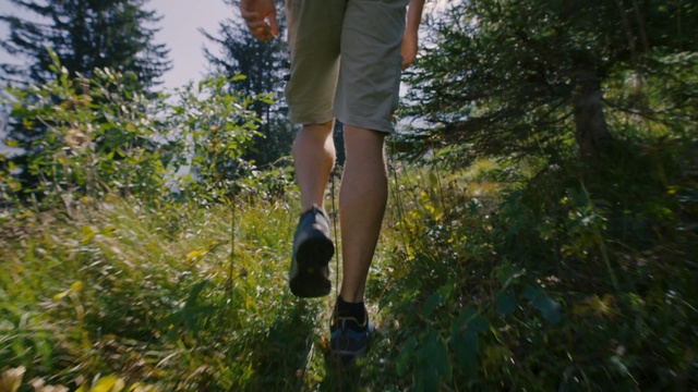 Video Reference: People in nature, Nature, Tree, Forest, Footwear, Sunlight, Leg, Shoe, Plant, Woodland