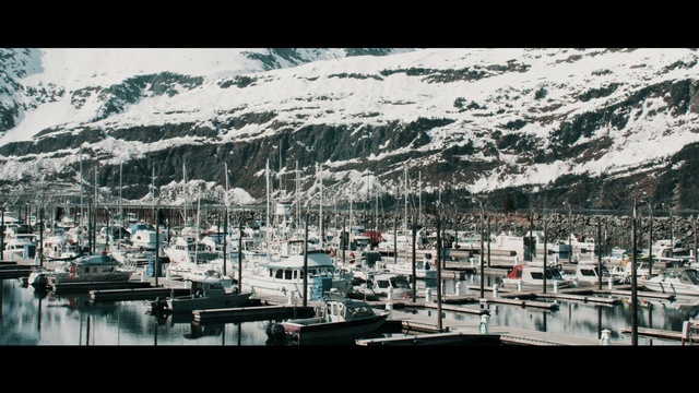 Video Reference: water, marina, urban area, city, winter, snow, reflection, sky, harbor, tree