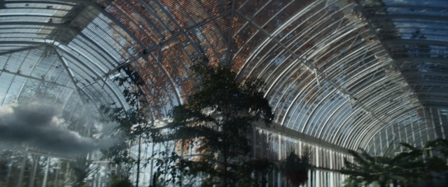 Video Reference: Tree, Architecture, Plant