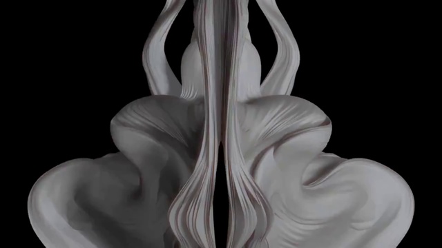 Video Reference: White, Still life photography, Black-and-white, Plant, Monochrome photography, Petal, Flower, Monochrome